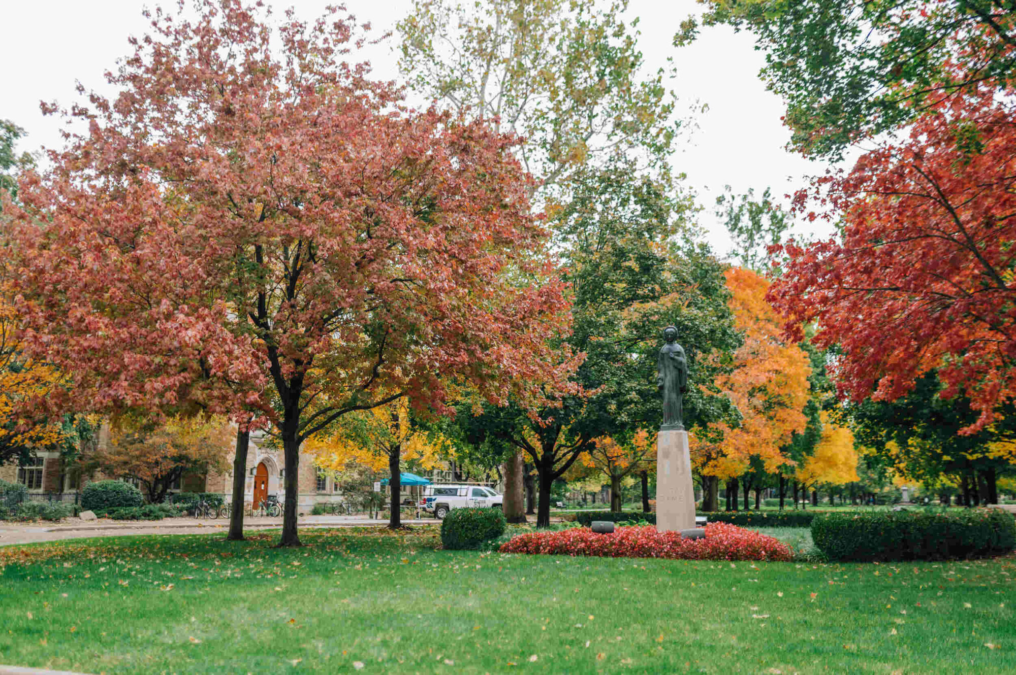 Park with trees